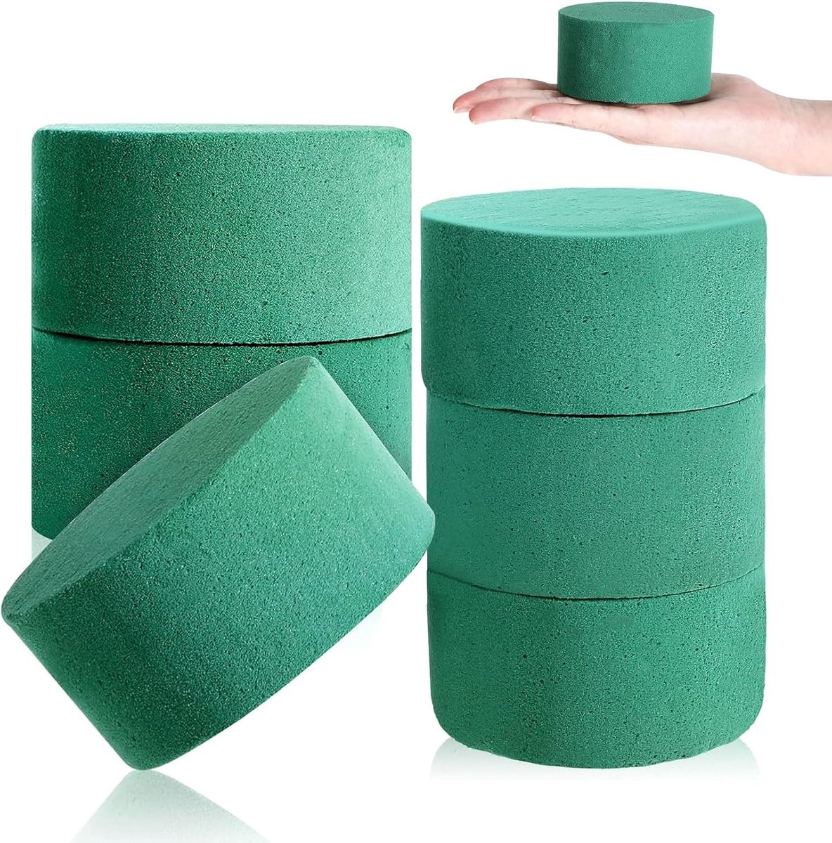 Bloemschuim rond 8x4cm - hoogwaardig materiaal - snel waterabsorberend - ideaal voor bloemenarrangementen - SnelShoppen