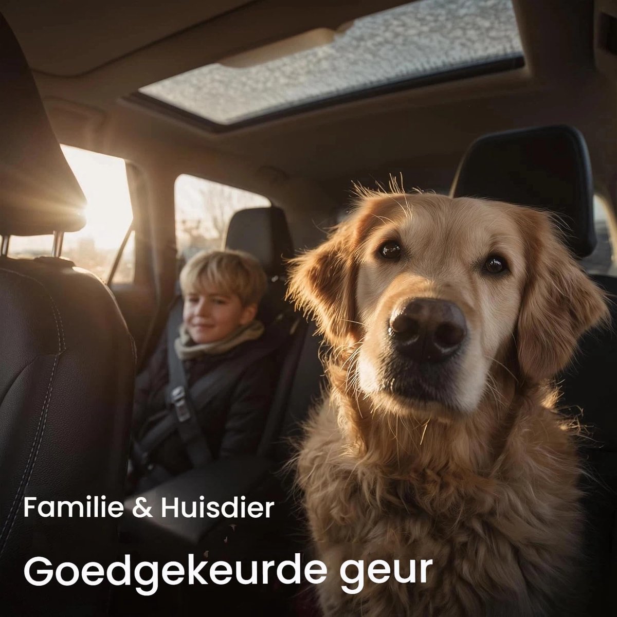 Navullingen voor auto luchtverfrisser - 3 x 3 g - sandelhout geur - frisse lucht in de auto - ShopVlot