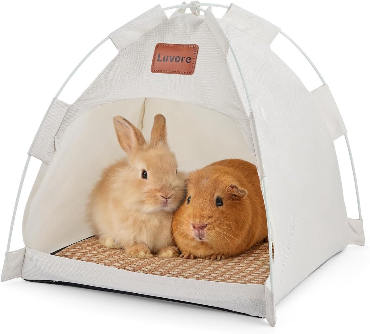 Huisdierentent 40 x 40 x 37 cm - Pop-up design - Zacht canvas - Draagbaar en wasbaar huisdierenbed - ShopVlot