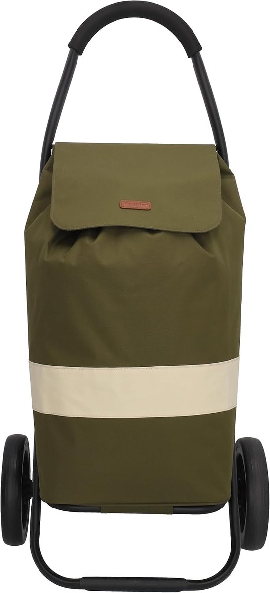 Shopping trolley 35 x 46 x 101 cm - lichtgewicht - met comfortabele grip - ideaal voor boodschappen - ShopVlot