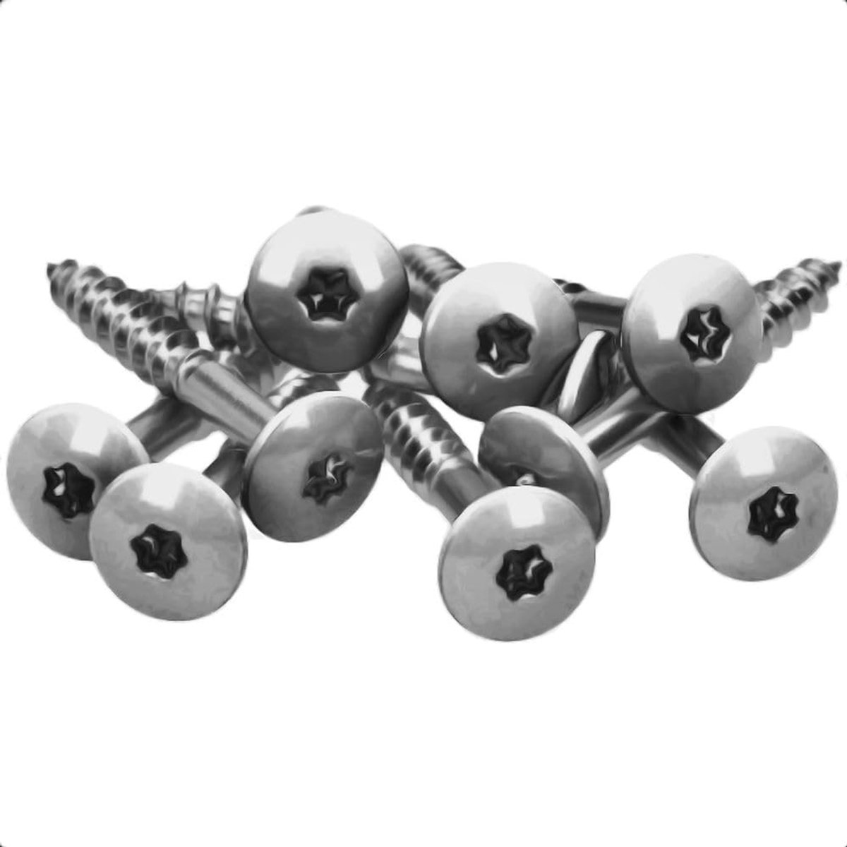 Facade schroeven 5,5 x 55 mm - Inox V4A - platkop Torx T20 - ideaal voor gevels - ShopVlot