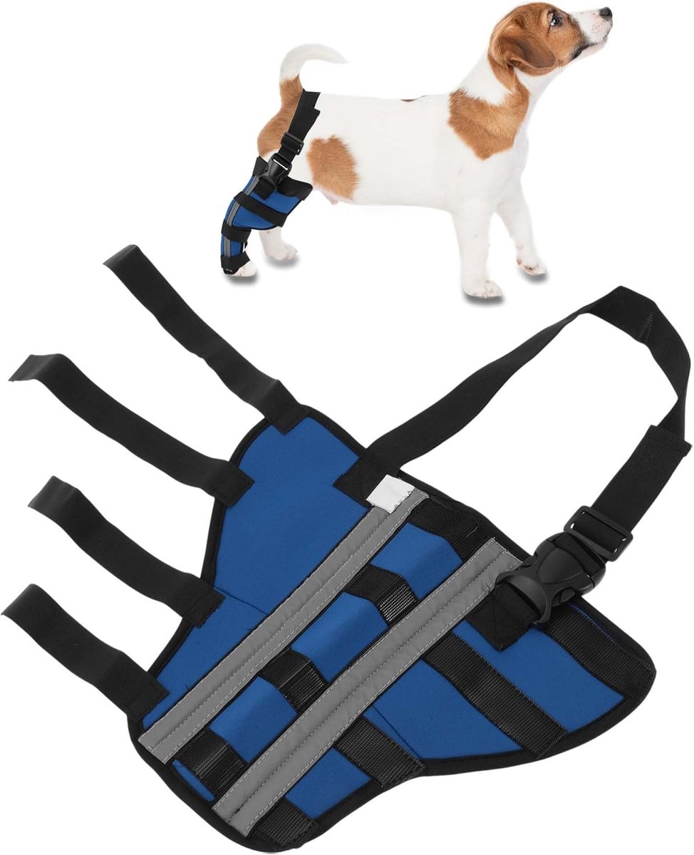 Rechter achterbeen steun, ademende gewrichtsbandages, kniebeschermers voor hondenbenen, herstel na huisdieroperaties, stabiele kniebeschermers ondersteuning voor achterpoten, XXS, blauw
