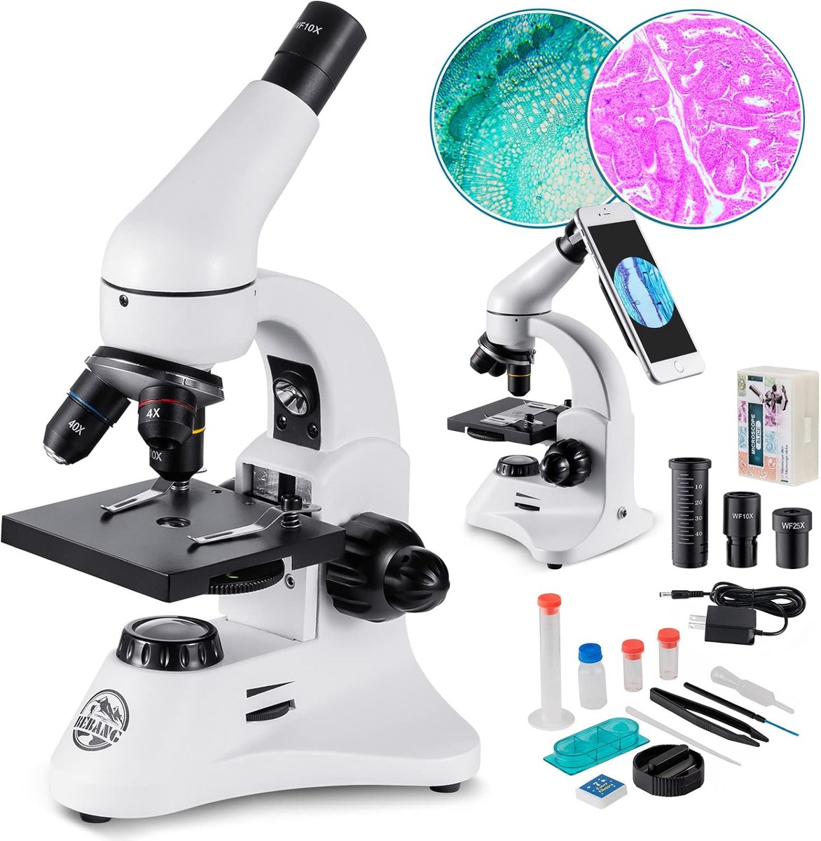 Microscoop 2000x - Professioneel met dubbele oculairs - Met smartphoneadapter en 15 mesjes - ShopVlot