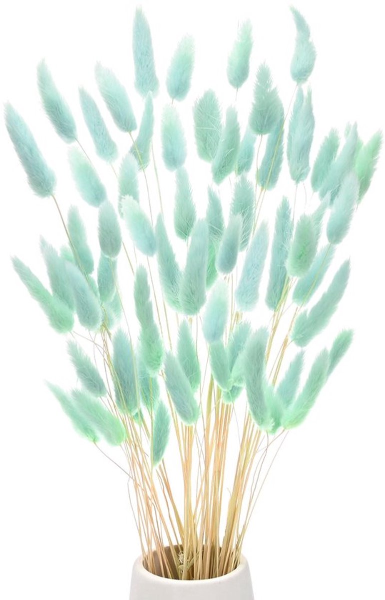 60 stuks konijnenstaartgras, 45 cm, konijnenstaart, pluizig, gras, gedroogde bloemen, takken, vaasvuller, decoratie van gedroogde pampasgras voor huis/vaas [blauw]