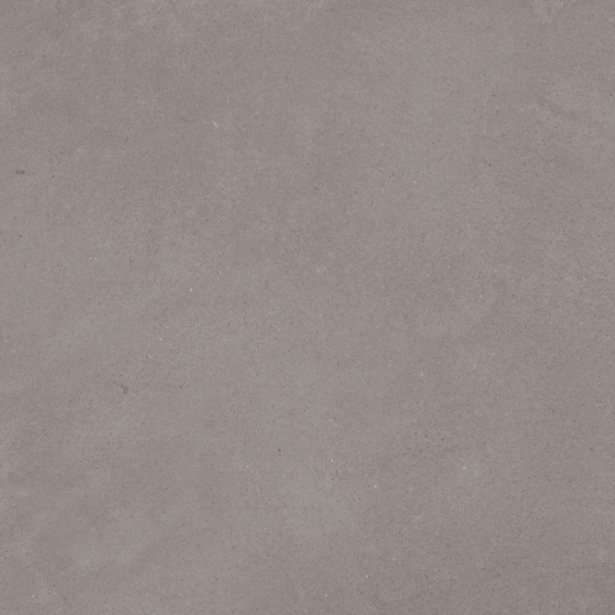 DECORATIEVE GEKLEURDE MINERALE PLEISTER MET BETONASPECT - decoratieve muur- en vloerpleister