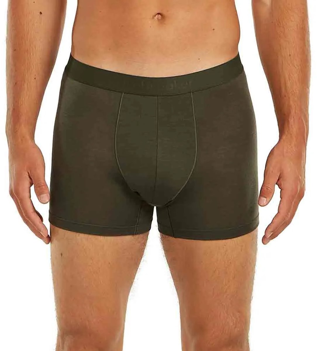 Icebreaker Merino 125 Cool-lite Anatomica Boxers Groen,Grijs XL Man