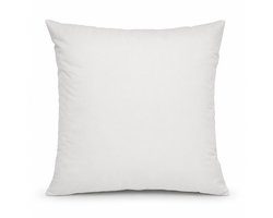 Binnenkussen | 50 x 50 cm | 600 gram | Veren / Dons