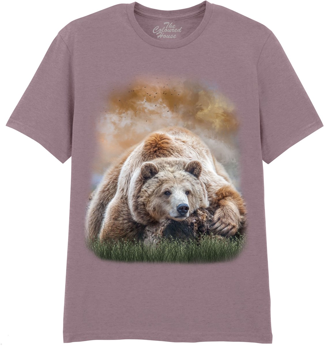 Beer Bearly Awake The Coloured House T-shirt S