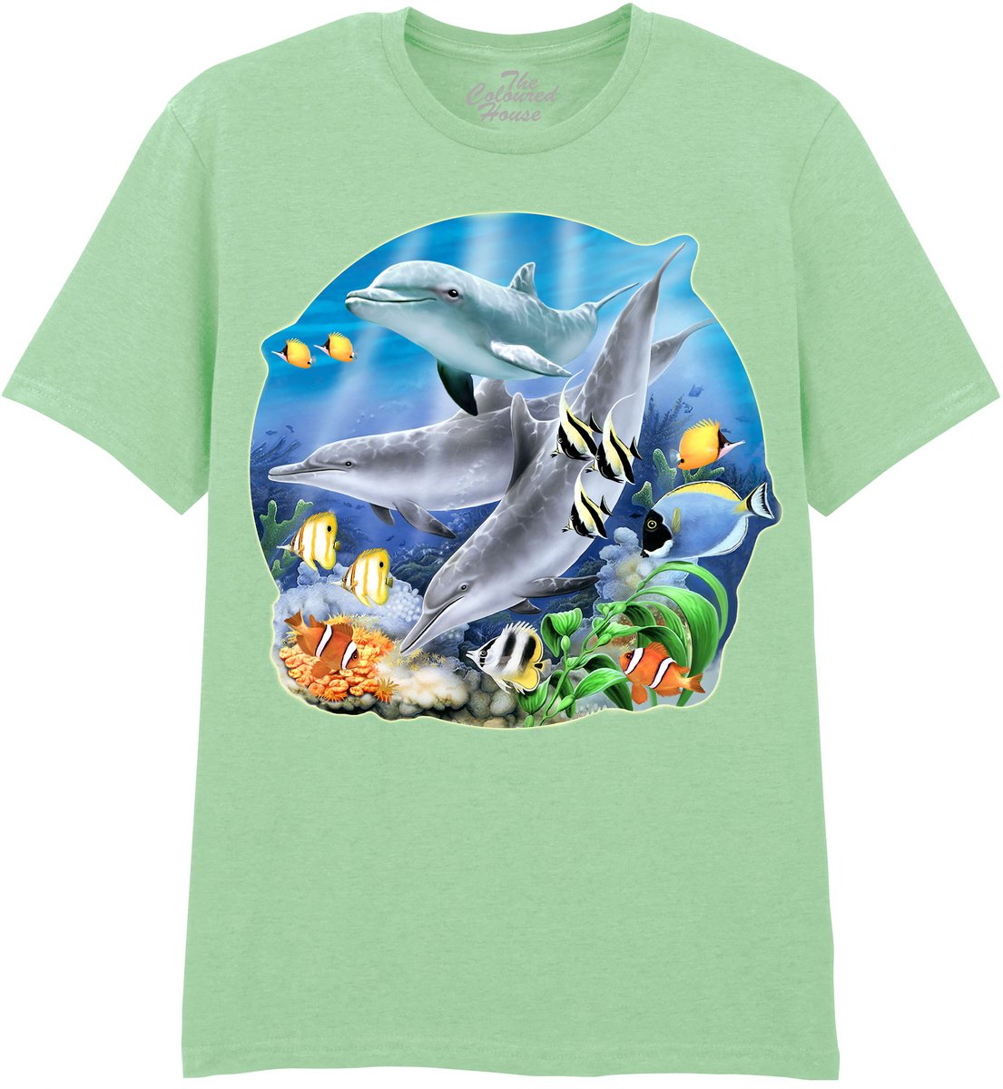 Dolfijnen Dolphins Dive The Coloured House T-shirt 3XL