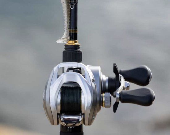 Daiwa 25AIRD Baitcaster Reel 80LH van Daiwa — afbeelding 2