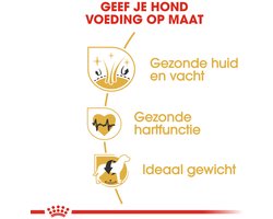 Royal Canin Golden Retriever Adult - Hondenvoer - 12kg