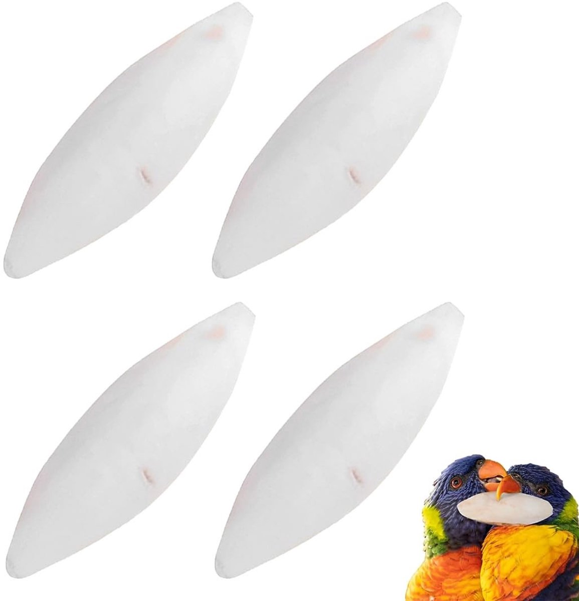 Solidchoice - Set van 4 Sepia Botten voor Huisdieren, Natuurlijke Calciumbron