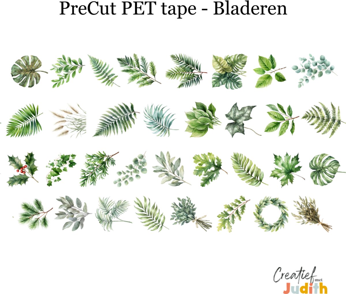 Bullet Journal Pet Tape bladeren - Planner Agenda Stickers - plant stickers - Transparante stickers 2mtr - Scrapbook stickers - Doorzichtige Deco stickers - Pre-cut stickers - volwassenen en kinderen
