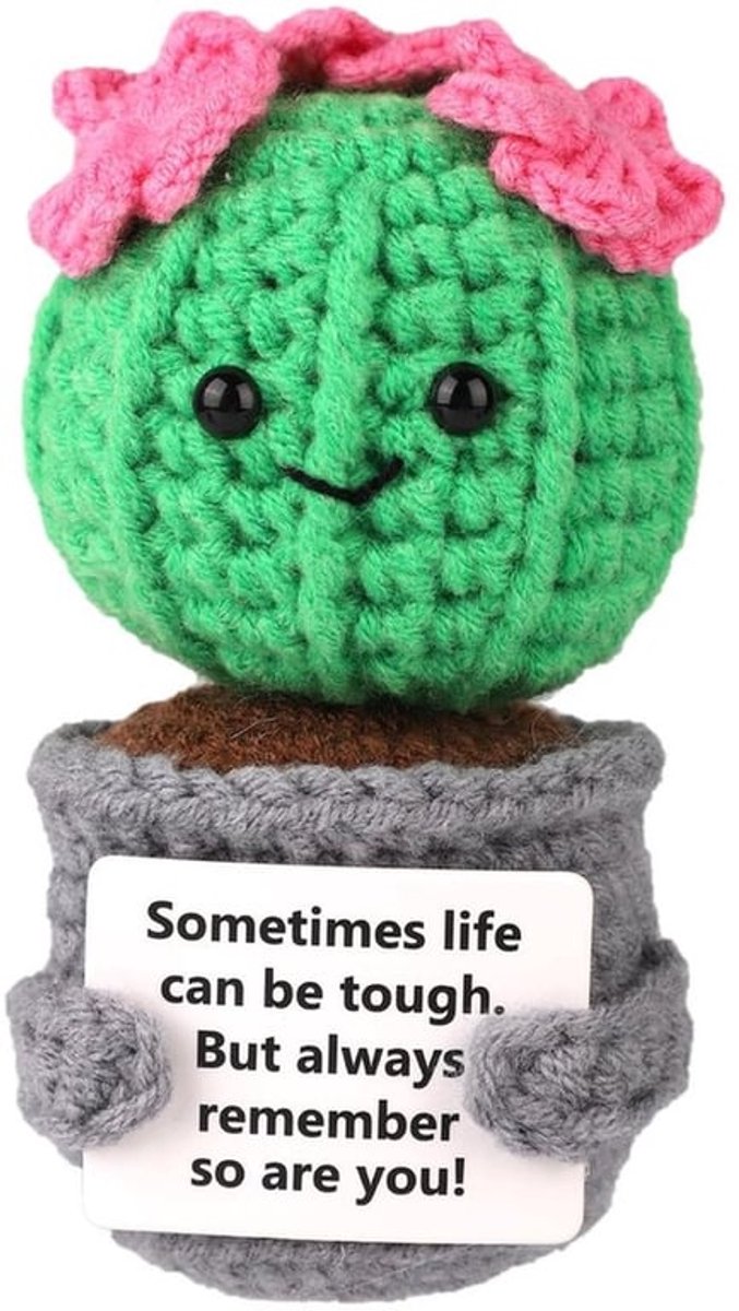 Positieve Cactus - Mini Haakwerk Cactus - Perfect voor feestdecoratie - Groen - Mooi cadeau - Positieve sukkulent - Gebreide cactus