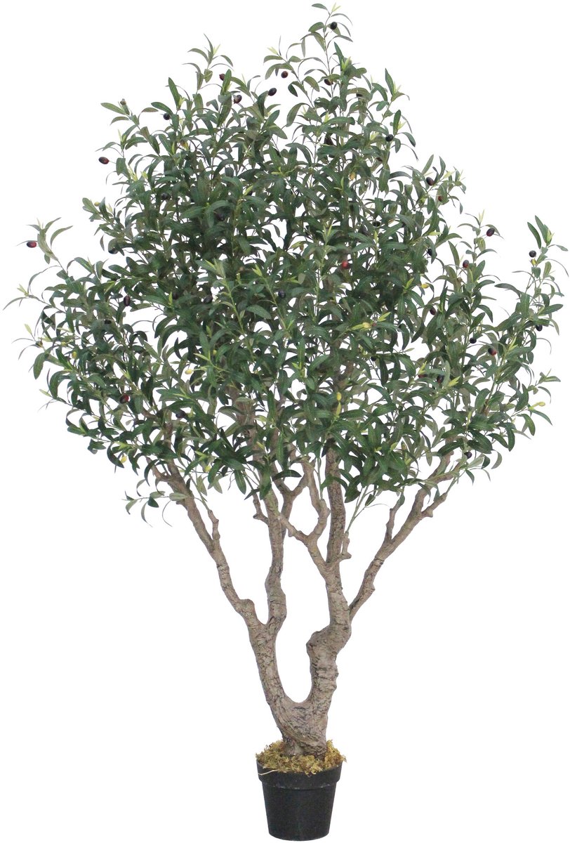 Kunstboom Olea olijf 180cm