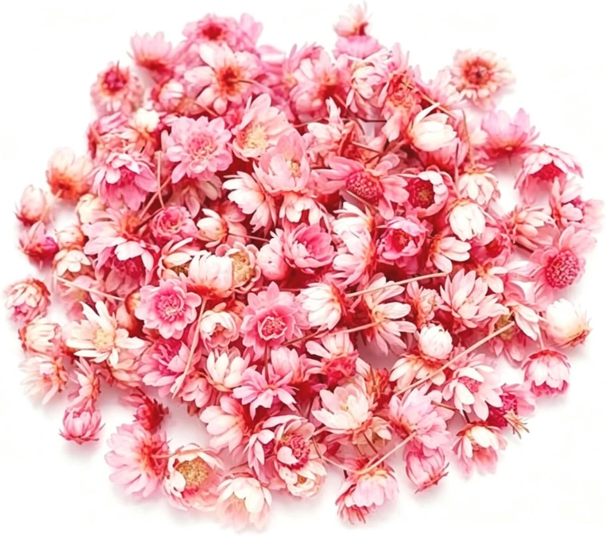 280 Stuks Gedroogde Bloem - Gedroogde Bloemendecoratie - Gedroogde Natuurlijke Bloemen - Geschikt voor Huisdecoratie - Ambachtelijke Decoraties - Geschenkverpakkingen (Roze)
