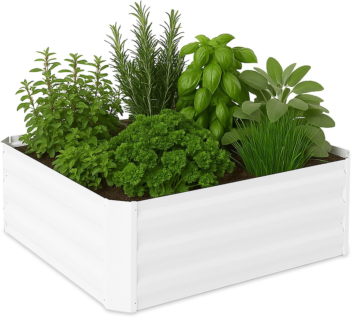 Famanu – Moestuinbak van verzinkt metaal voor bloemen, planten en groente, 30 x 90 x 90 cm, wit
