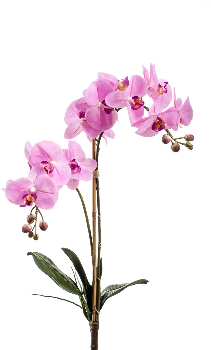 Emerald Kunstplant Phalaenopsis RT 65cm roze - Kunstplant voor binnen