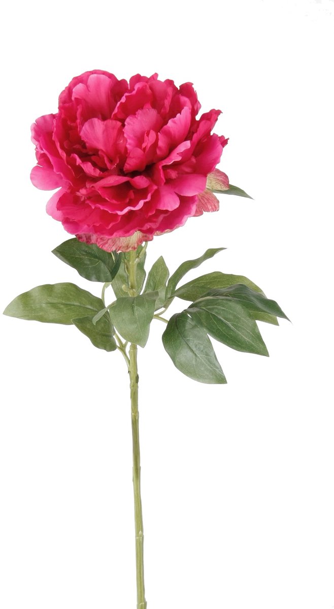Emerald - Kunstbloem Pioenroos 65cm roze - Kunstplant voor binnen