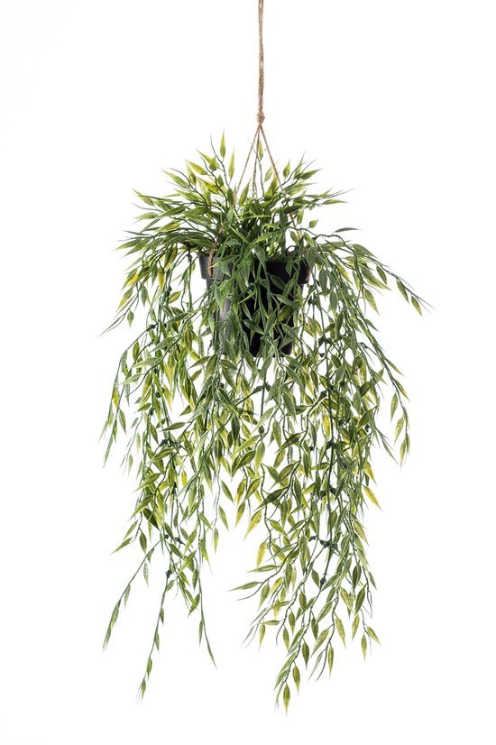 Nep hangplant met lange, smalle, groene en gele bladeren in een zwarte pot, hangend aan touw.