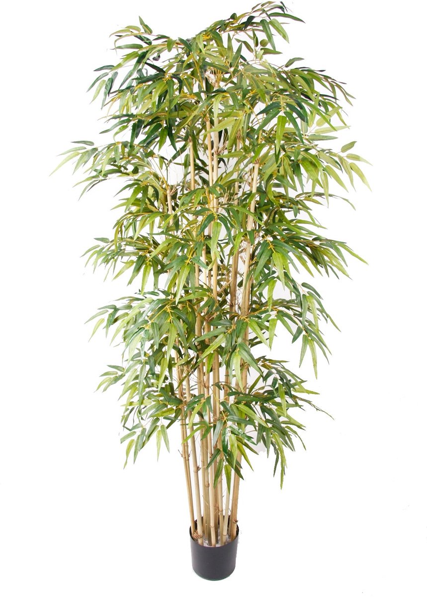 Emerald Kunstplant Bamboe Deluxe 205cm - Kunstplant voor binnen Groen