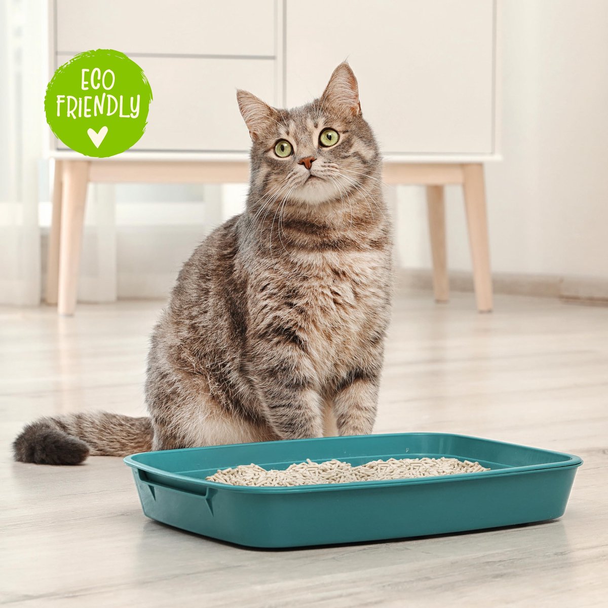 SnelShoppen - Tofu Kattenbakvulling 10 Liter - Klonterend, Plantaardig, Geurremmend, Tot 60 Dagen Gebruik - Biologische Verwijdering - 4 Stuks
