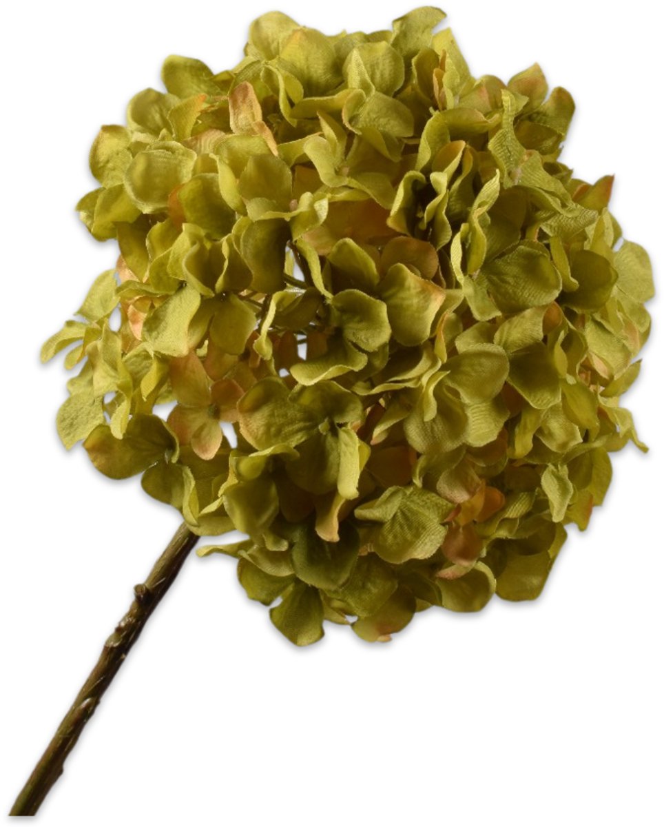 Silk-ka Kunstbloem-Zijden Bloem Hortensia Steel Groen 70 cm
