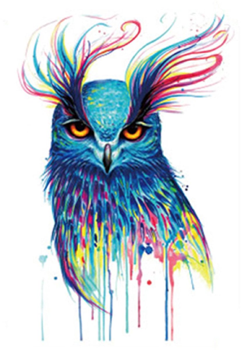 Temporary Tattoo Gekleurde Uil (A5 formaat) [Neptattoo - Tijdelijke tatoeage - Nep Fake Tattoos - Water overdraagbare festival sticker henna outfit tattoo - Glitter tattoo - Volwassenen Kinderen Jongen Meisje]