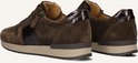 Achterkant van bruine suède sneakers met slangenprint detail en beige zool.