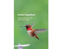 Avian Cognition
