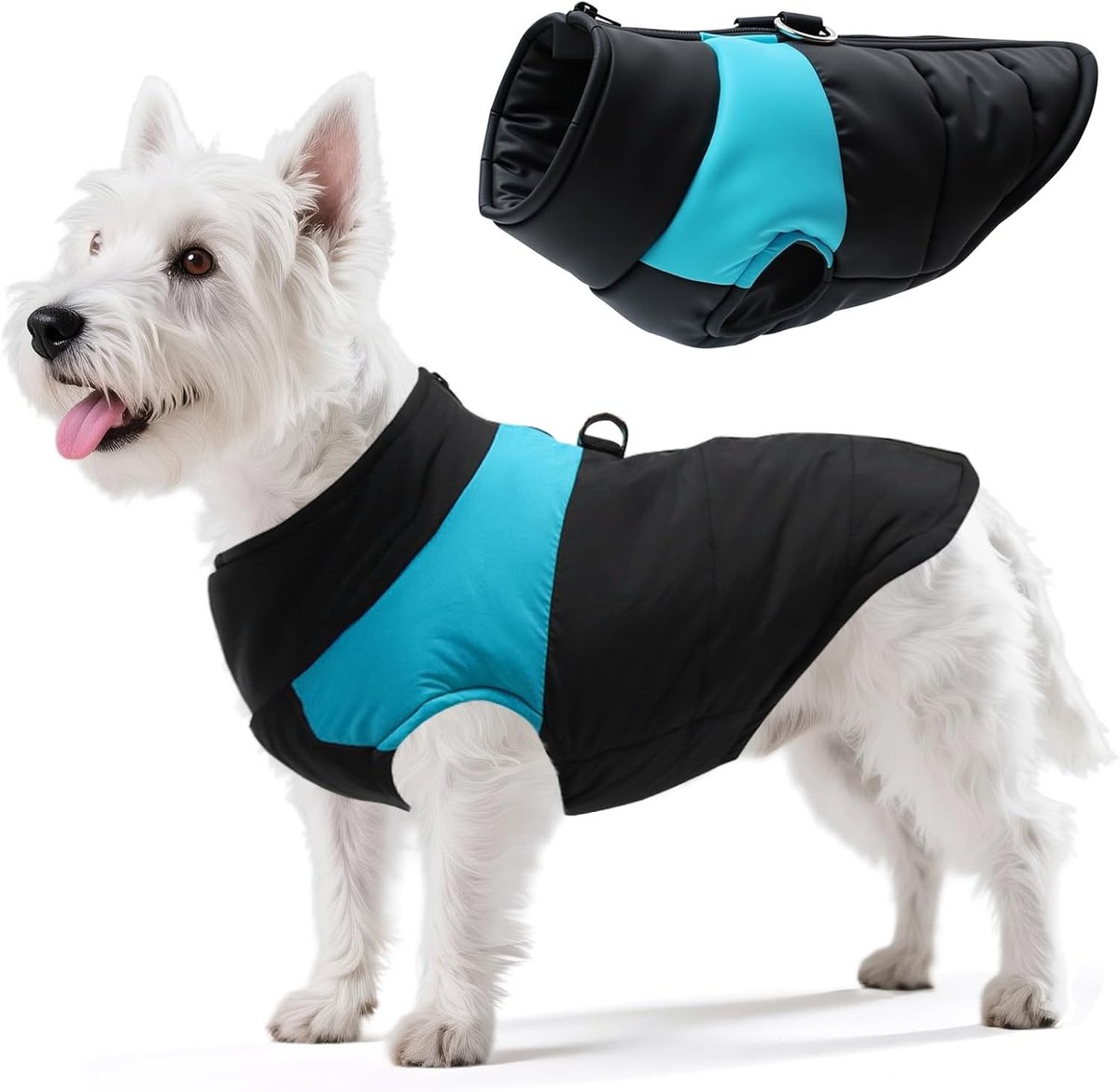 Warme Winterkleding voor Honden, Waterdichte en Winddichte Hondenjas, Katoenen Winterjas voor Kleine en Middelgrote Honden (Blauw, M)