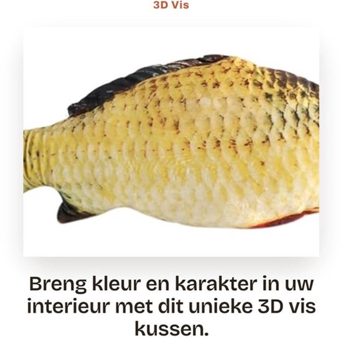 Sierkussen 3D Viskussen - Decoratief Kussen - Pluche Knuffeldier - Wasbaar - Huishoudtextiel - Karper Kussen - Decoratiekussen