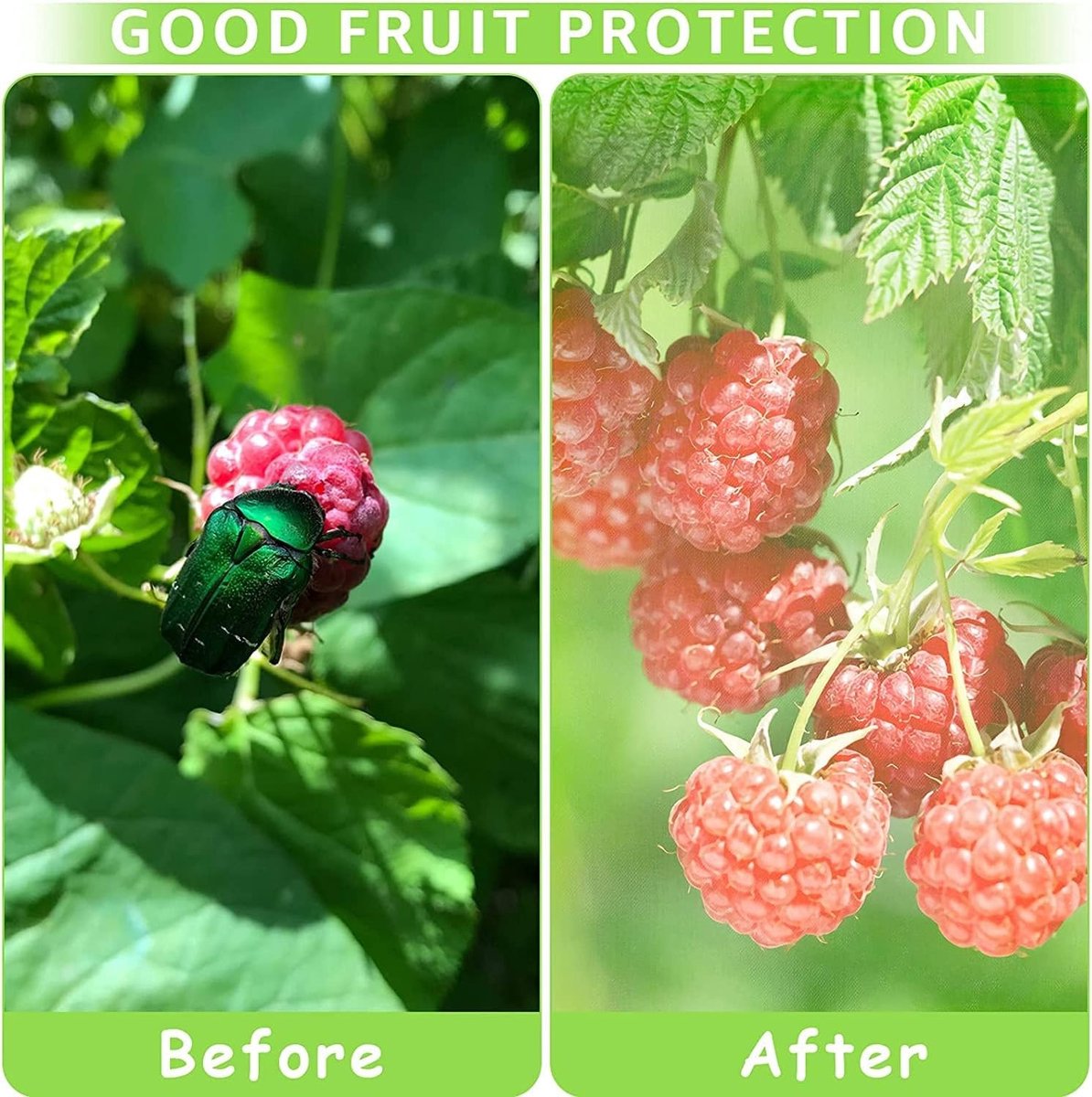 Set van 100 druivenbeschermzakken, fruitbescherming met trekkoord, 20 x 30 cm, bescherming tegen wespen, kersenvlieg en andere insecten, ideaal voor wijngaarden en fruittelers