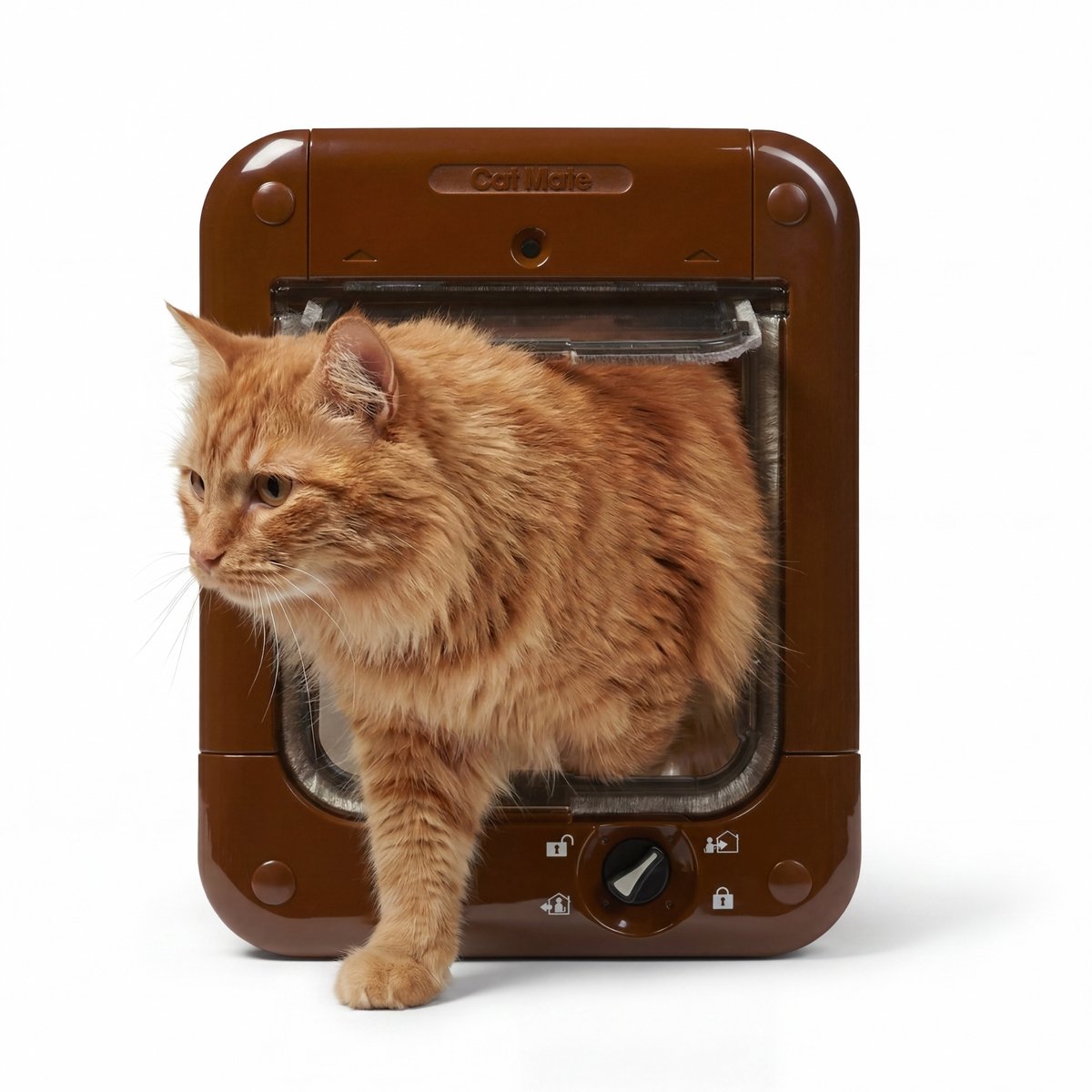 Cat Mate Kattenluik met Chip - Microchip Kattenluik met 4-Vergrendelingsstanden - 24,6 x 19,7 cm - Bruin - 360W