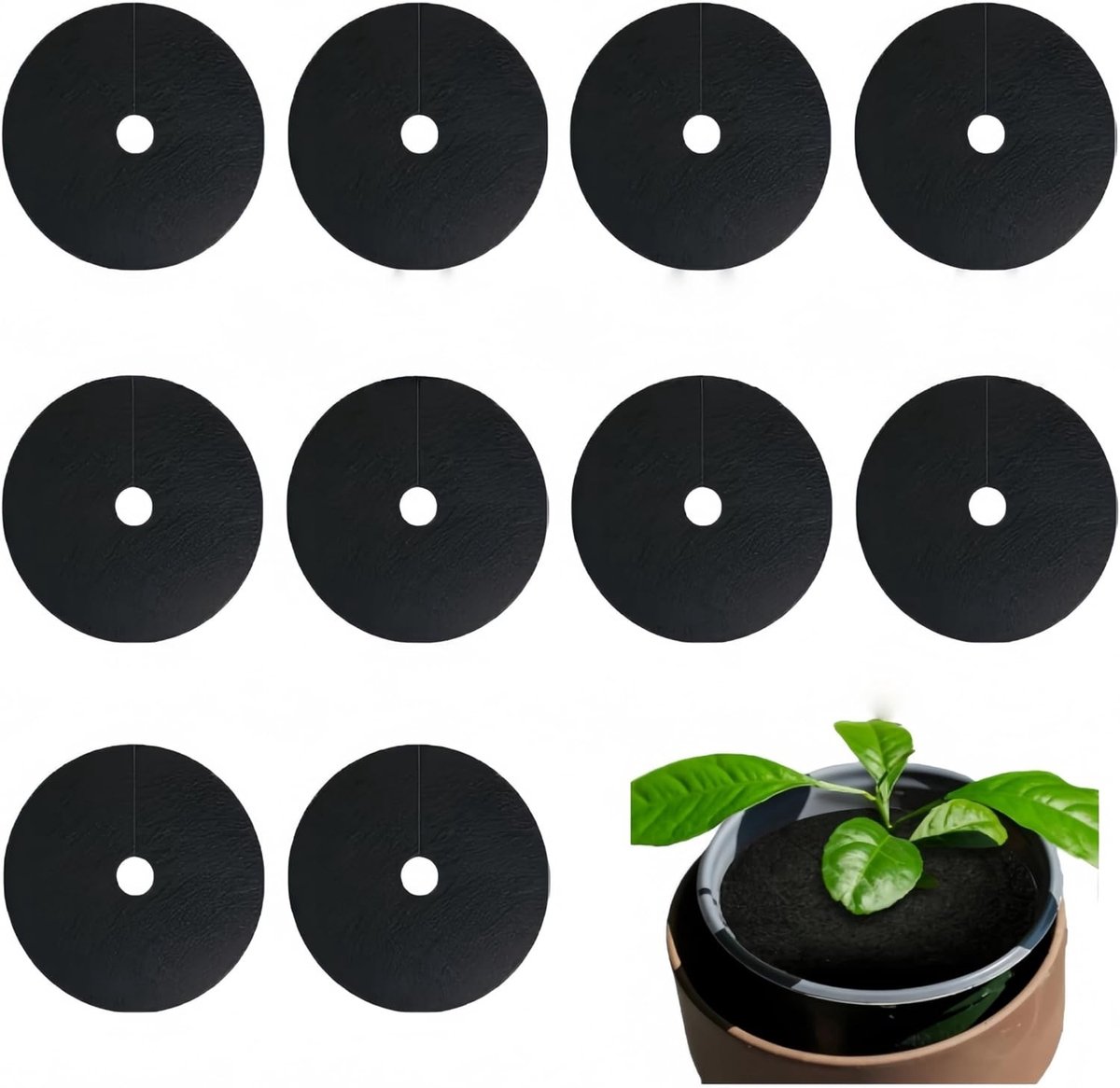 10 Stuks Onkruid Beschermringen voor Bomen, 15 cm, Bescherming van Wortels Tegen Onkruid, Ronde Vliesmat voor Planten en Bomen, Tuinaccessoires en Groeioptimalisatie
