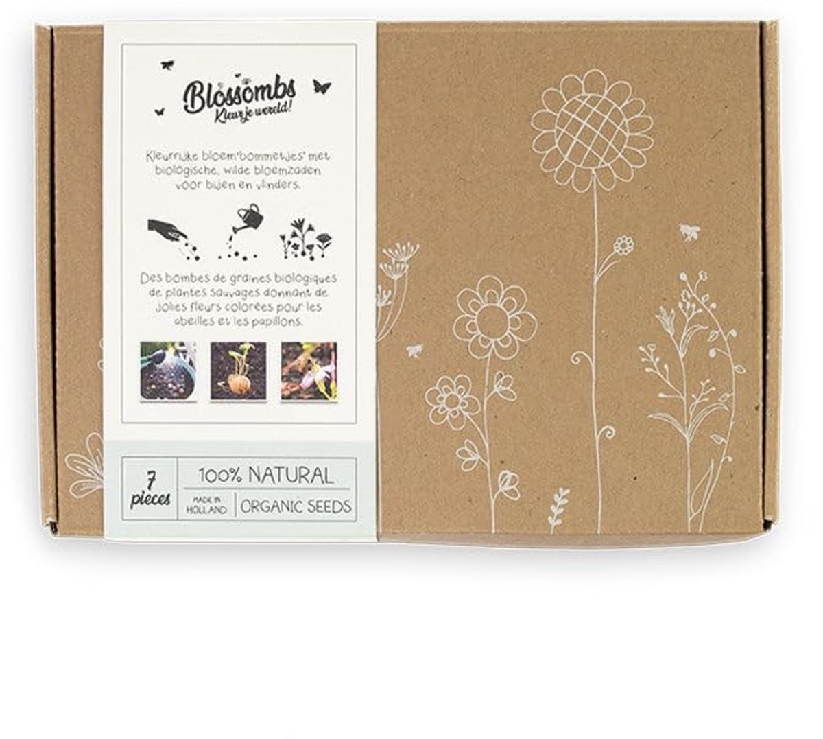 Solidchoice - Giftbox met Zadenbommen - 7 Stuks Bloemenmix voor Bijen en Vlinders
