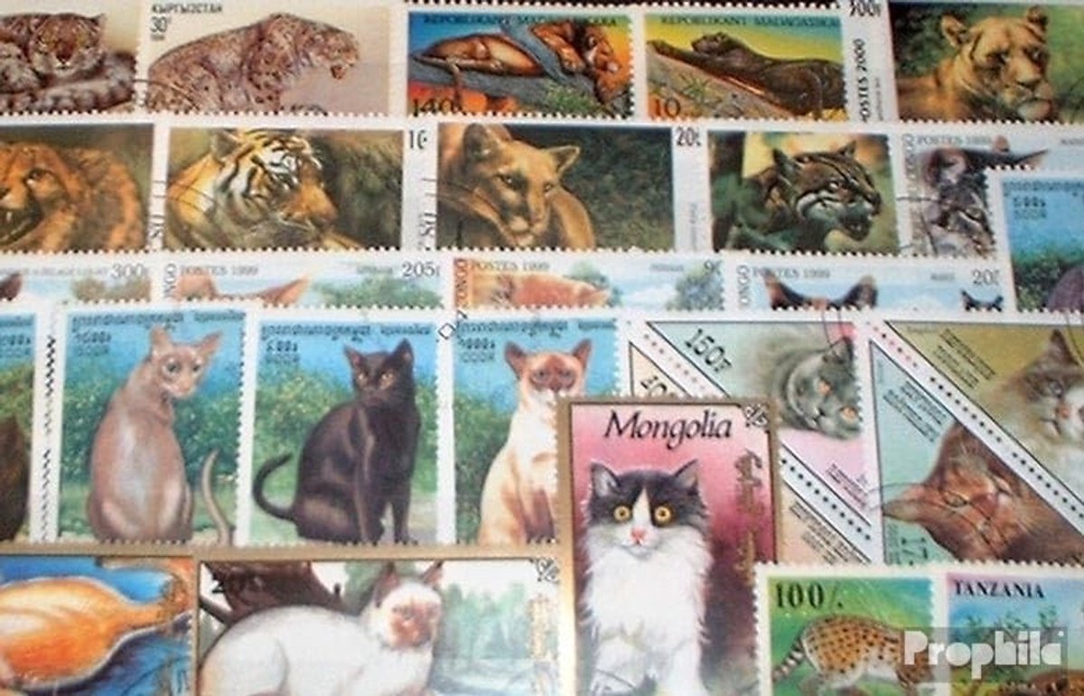 Solidchoice - 50 Verschillende Kattenpostzegels - Verzamelaarsstempelset
