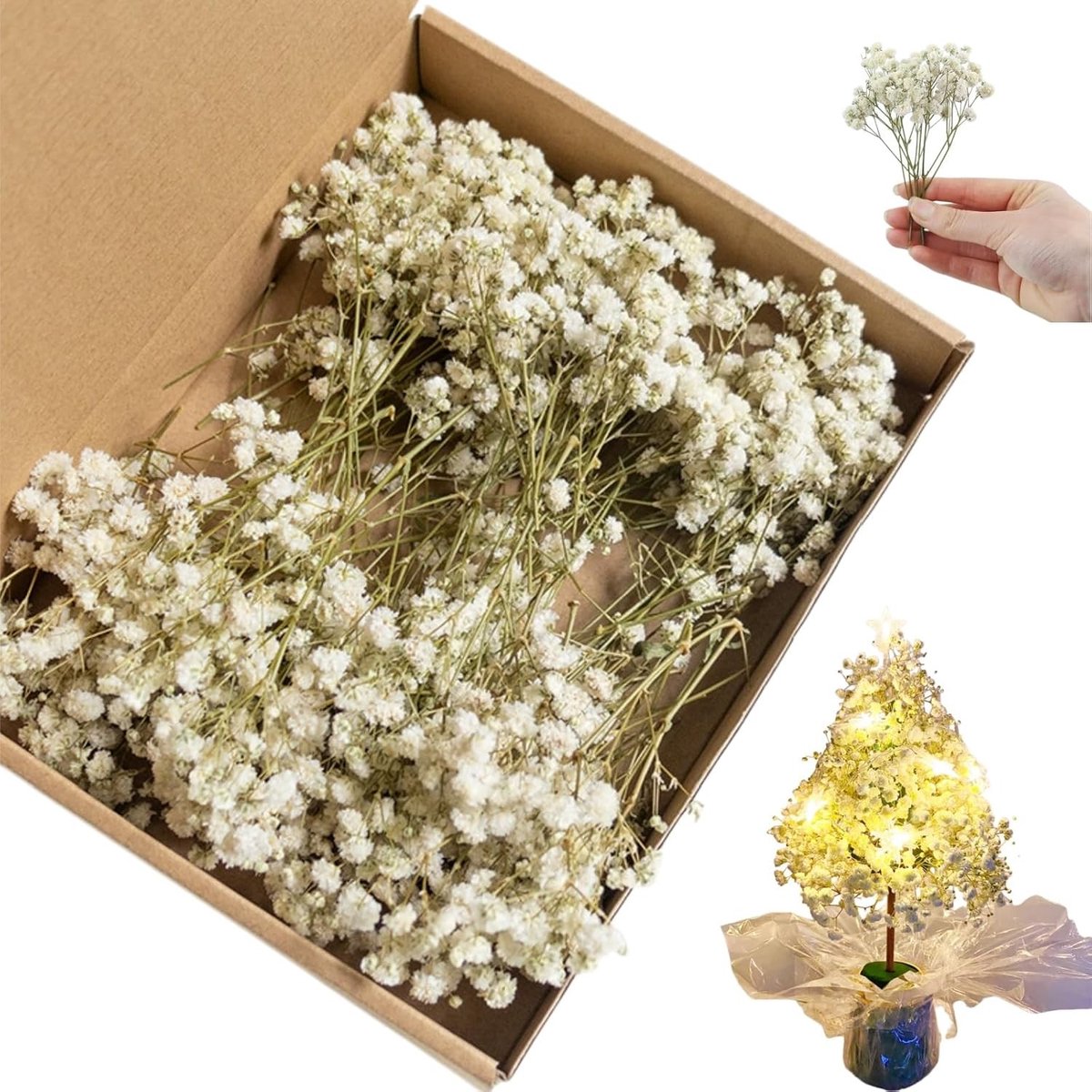 100 Stuks Gedroogde Gypsophila Bloemen, Natuurlijke Witte Decoratie Bloemen voor Bruiloften en Feesten, Perfect voor Bloemstukken en Arrangements