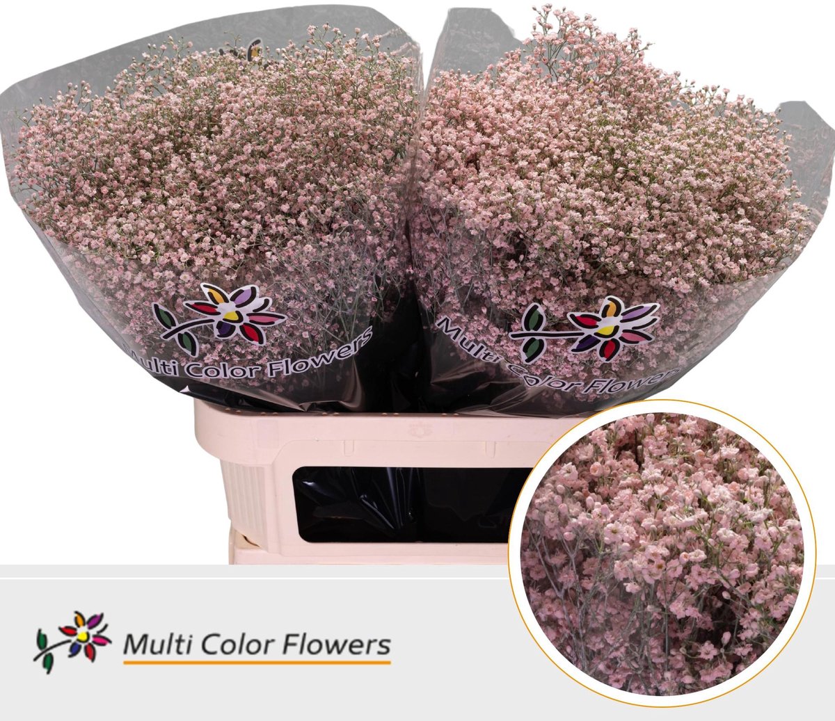 25x Gipskruid m.stars roze 80cm