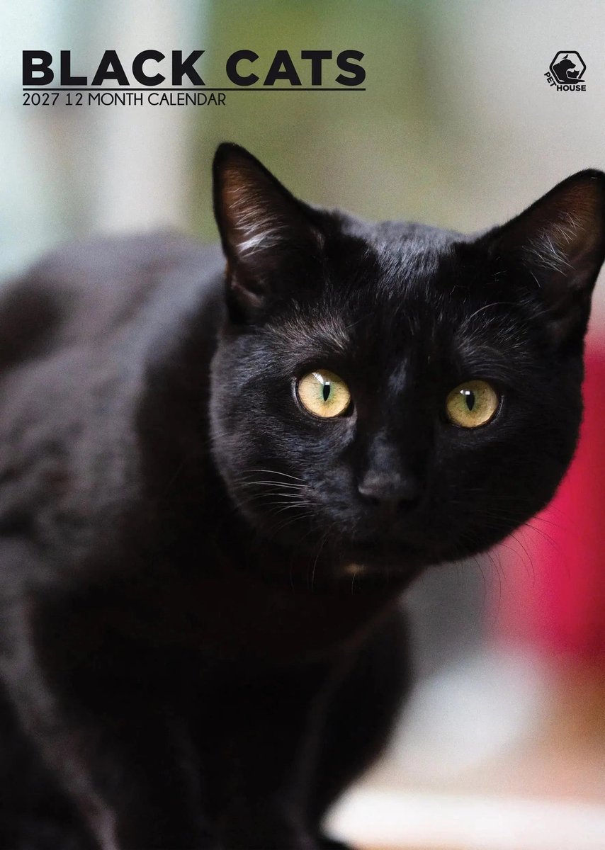 Zwarte Katten A3 Kalender 2027