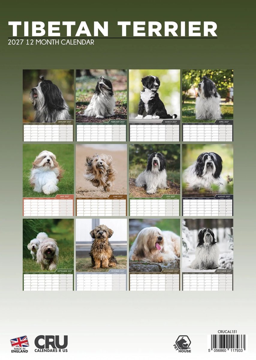 Tibetaanse Terrier A3 Kalender 2027