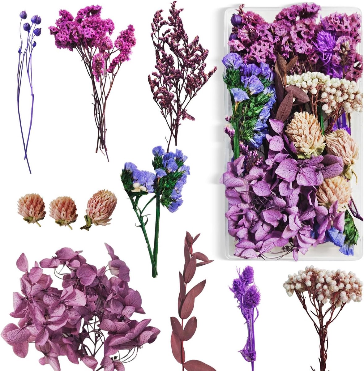 droogbloemen om te knutselen, droogbloemen, kleine gedroogde bloemen, gedroogde bloemen in dozen voor doe-het-zelf fotolijsten, decoratie, ambachtelijke decoratie (paars)