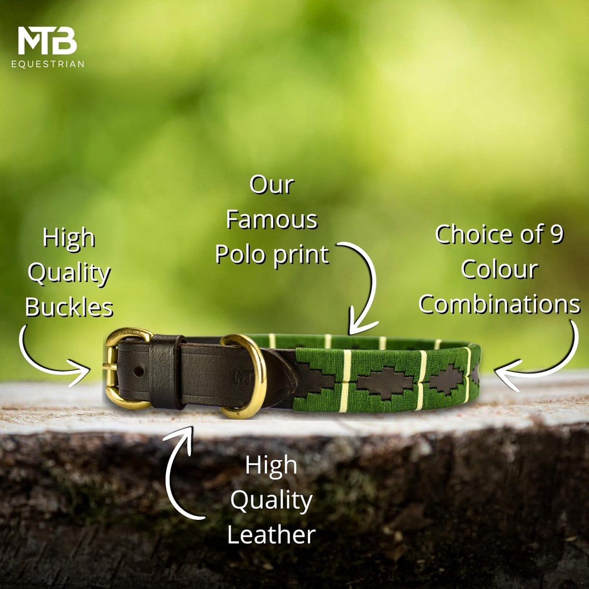 Leren Hondenhalsband In Polo-Stijl – Verstelbaar En Handgemaakt Van Premium Leer – Sterke Gespen – XS T/M XL – MTB Equestrian (Groen, XS)