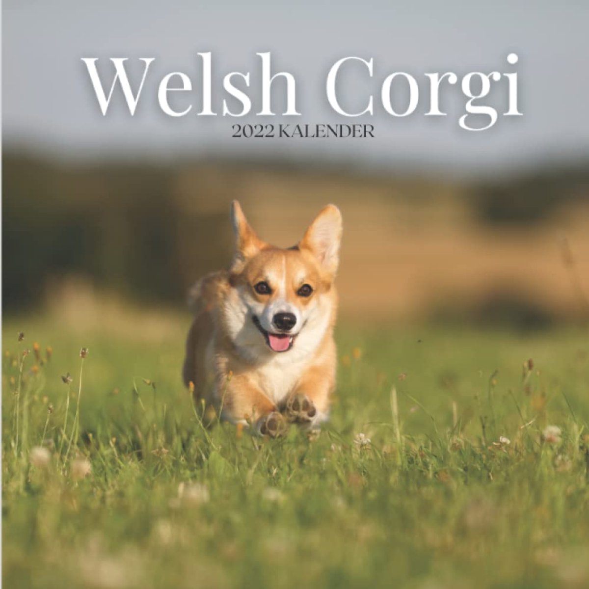 Wandkalender Welsh Corgi 2022 - 8,5x8,5 inch - Voor dierenliefhebbers - Leuk cadeau voor vrienden en familie - SnelShoppen