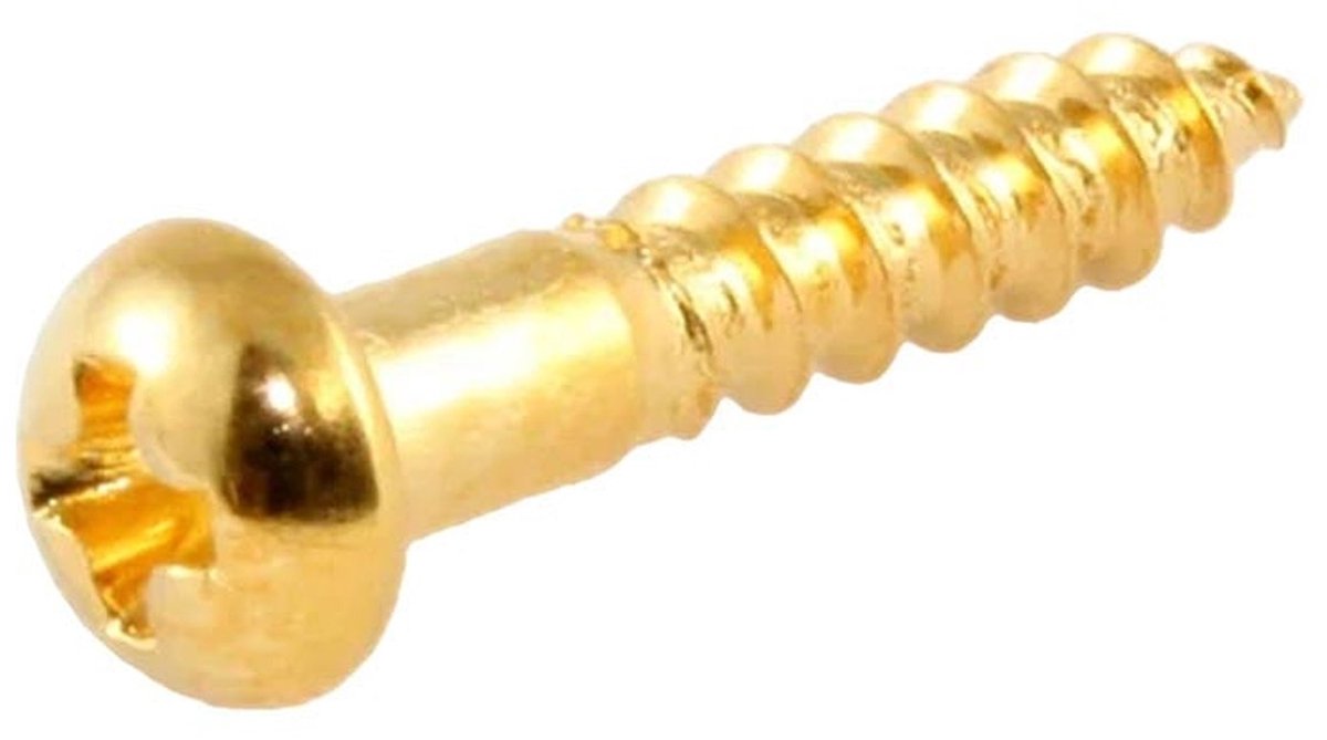 Allparts GS0006B02 100 Stuks Gouden Lange Machinekop Schroeven 1/2 Inch