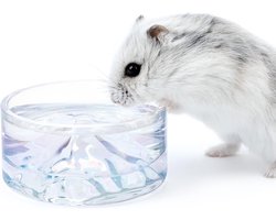 Hamstervoer- en waterkommen- Mount Fuji-serie glazen drinkkommen voor dwerg Syrische hamsters Gerbils muizen ratten of andere vergelijkbare kleine huisdieren