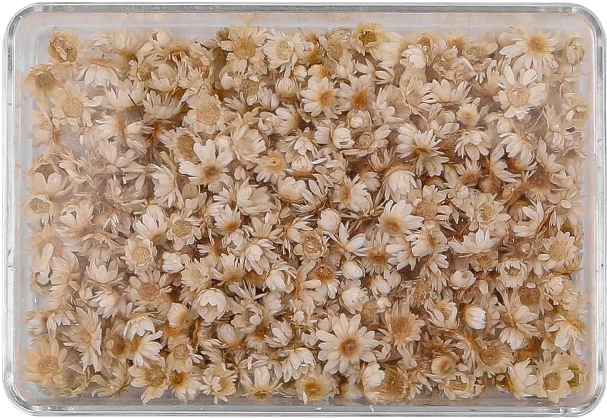 Gedroogde Bloemen Gedroogde Kleine Ster Bloemen Hoofden Mini Daisy Voor Sieraden Kaars Kaart Maken Diy Hars Ornamenten