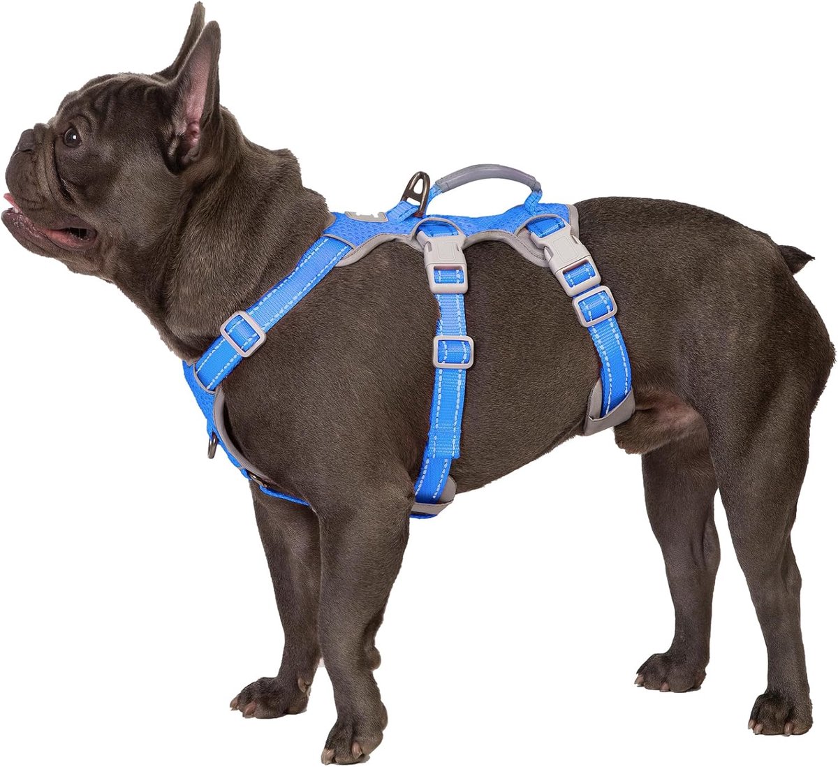 Escape Proof Harness, Geen Slip Hondenharnas Escape Proof, Volledig Reflecterend Harnas met Handvat, Verstelbaar Vest voor Middelgrote Honden Wandelen, Training, Running (Zeeblauw,M)