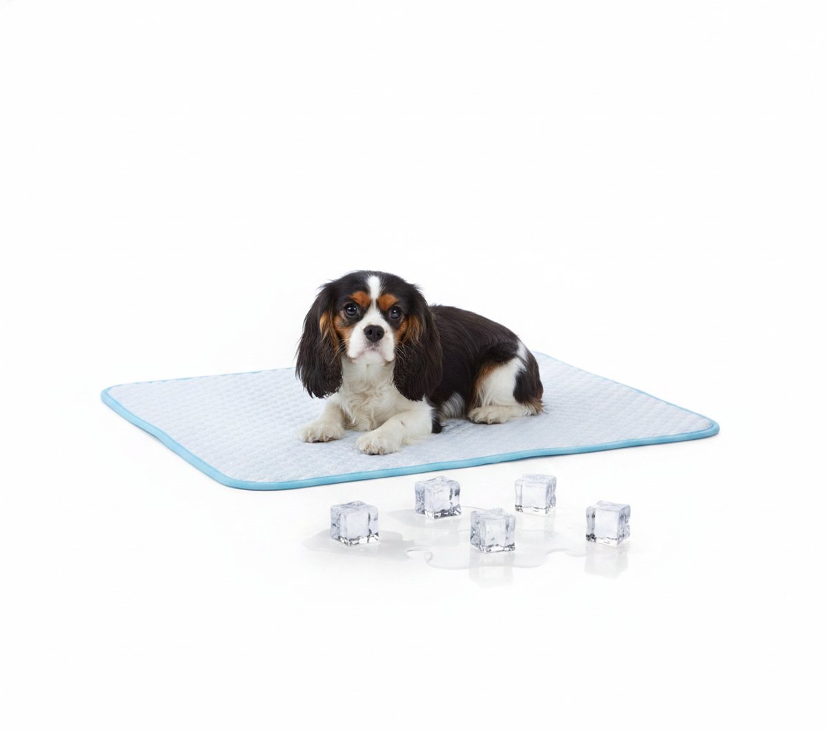 animalking Honden Koelmat - Verkoelend Kussen voor Honden - 40 x 50 cm - Blauw
