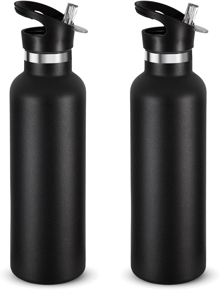 750ml Geïsoleerde Waterflessen 2 Pak, Roestvrij Staal Dubbele Muur Sportfles Met Rietdeksel, Metalen Herbruikbare Thermoses Beker Met Handdop Voor School, Fietsers, Wandelaars, Gift